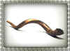 shofar.jpg (18072 byte)